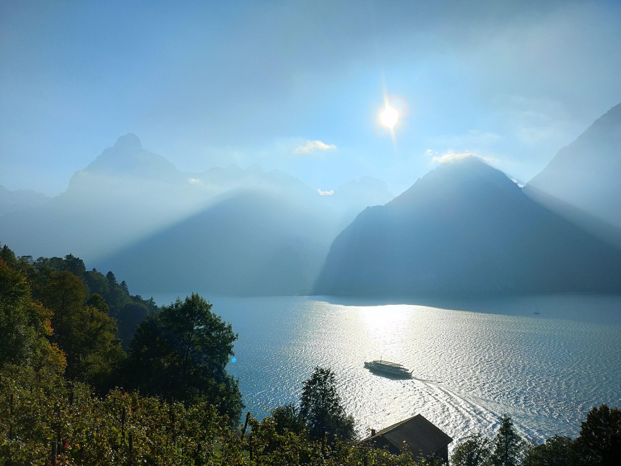 Swiss Alps 1
