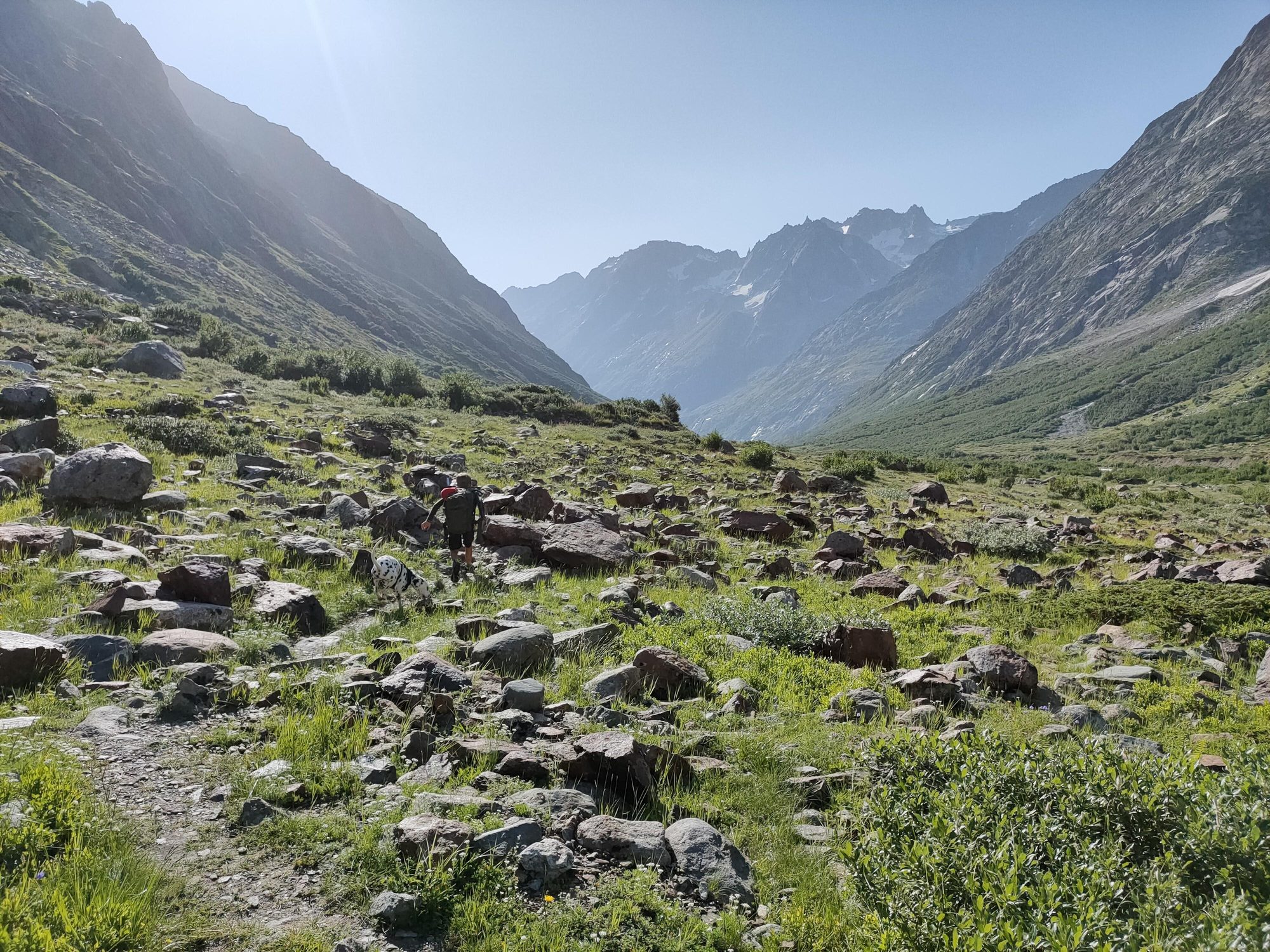 Swiss Alps 4