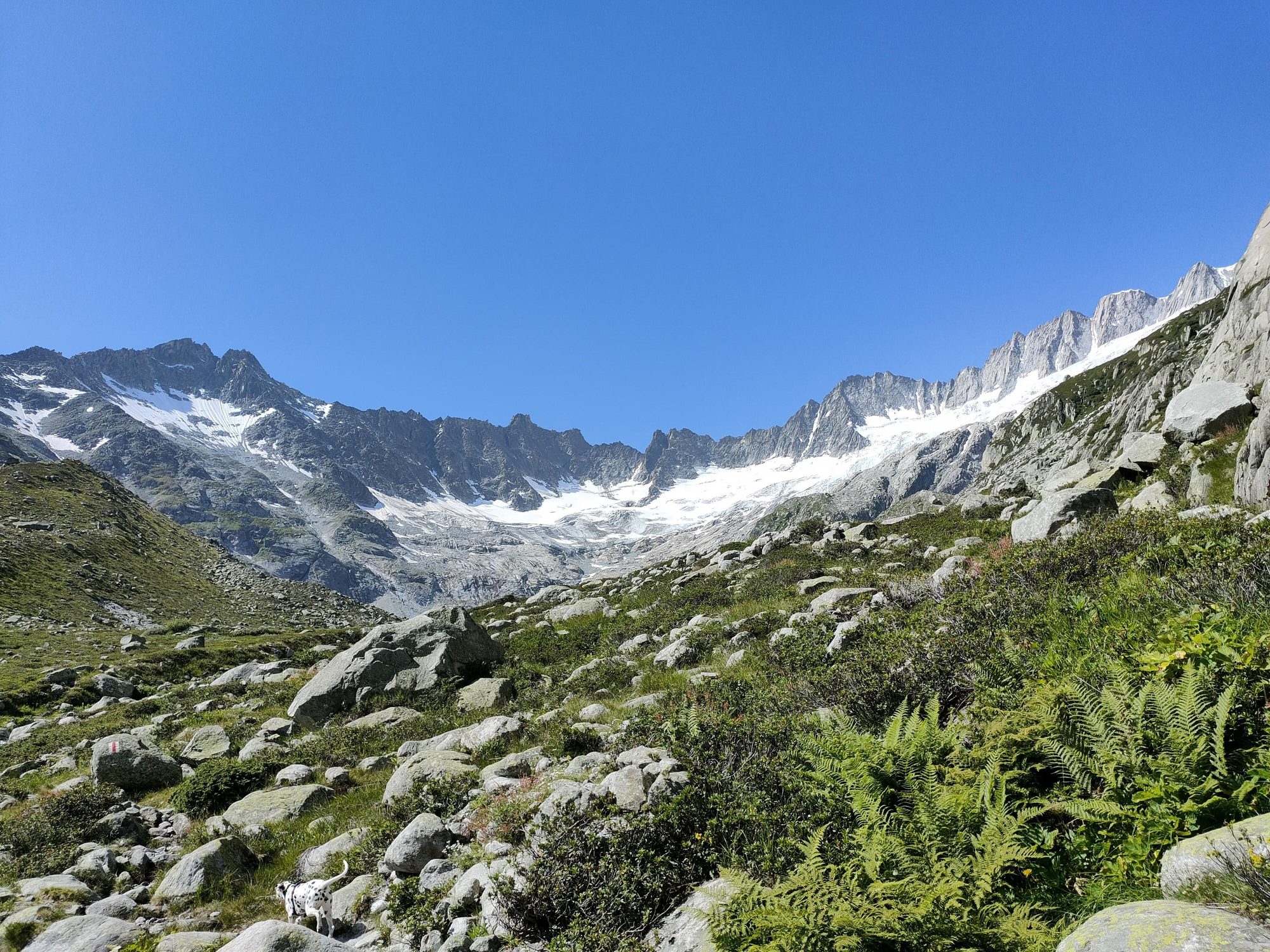 Swiss Alps 5